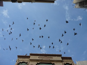 P1070154