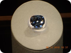 DSCN9166