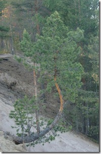 Juni-Juli 2011 087