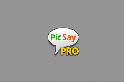 Picsay Pro, Editor Foto Ringan Untuk Android
