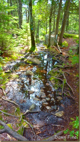 Sargent mountain hike_192