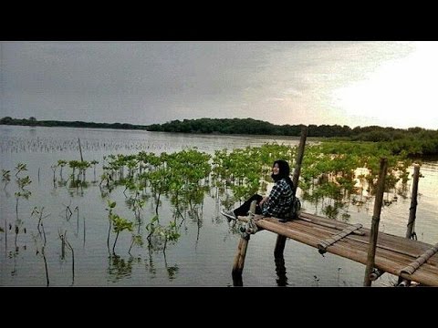 Wisata Pulau Tiban