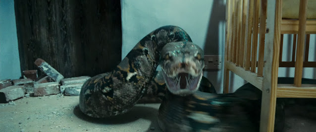 Criatura do Mês: Nagini | Ordem da Fênix Brasileira