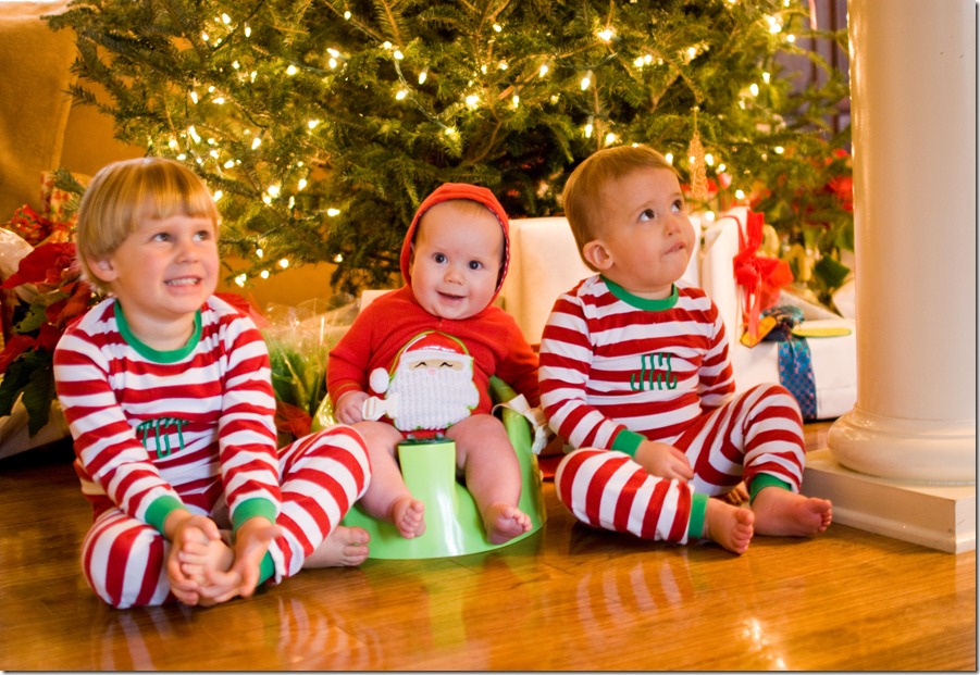 boys under tree