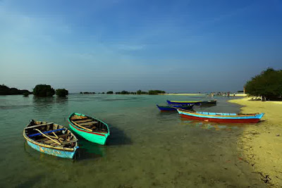 Pulau Pari