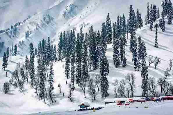 New Delhi, News, National, Travel & Tourism, West-India-Travel-Zone, Travel, Tourism, Gulmarg, also known as the 'meadow of flowers'.