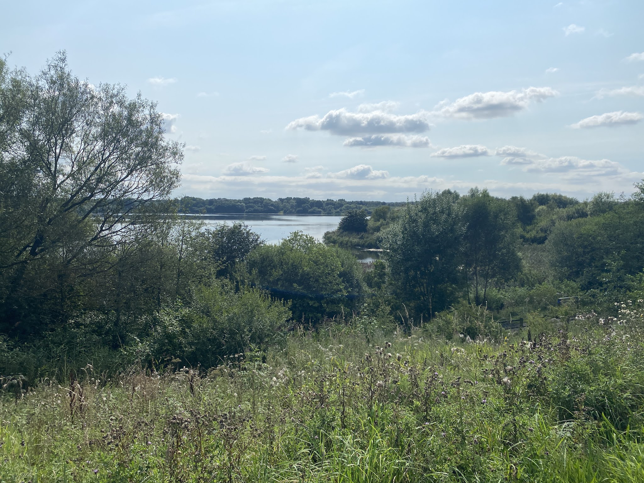 pennington flash