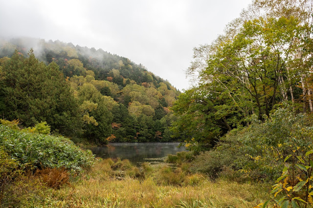 cestování po světě, blog, japonsko, nagano, shigakogen