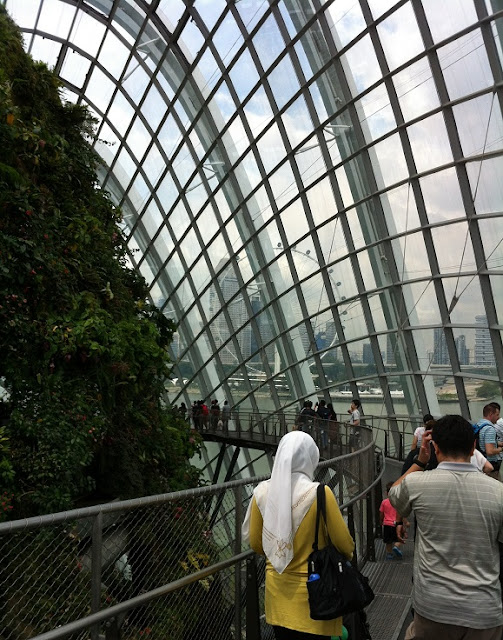gardens by the bay cloud forest walk