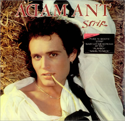 ADAM ANT(STUART LESLIE GODDARD