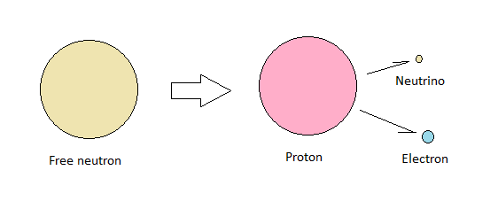 Free neutron decay