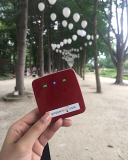 international pocket wifi rental