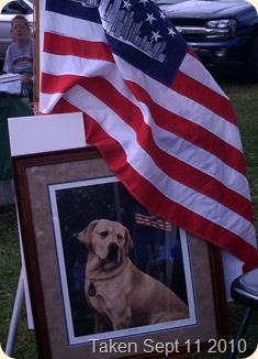 Sirius K9 badge #17