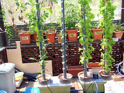 水耕栽培装置自作教室 ポールプランター