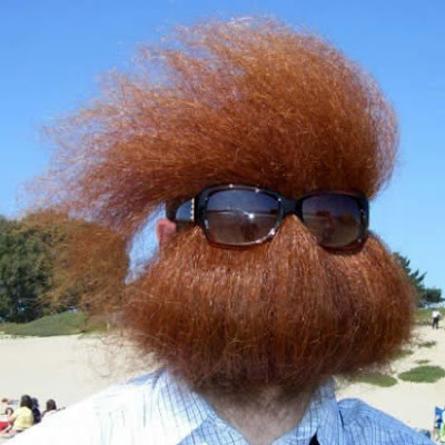 Top 10 Most Bizarre Beards and Mustaches pictures