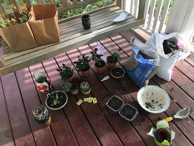 A high-angle photo of a very dirty red porch, with four small red-flowered roses in terracotta pots, four succulents in a variety of ceramic pots and bowls, a stray succulent leaf set in dirt in another ceramic bowl, two square plastic containers with two African violet leeaves each, open bags of potting soil and sand, empty plastic pots neatly stacked, a dirty white ceramic bowl and a trowel, and a red-flowered white pitcher with blue rim and handle. Two paper bags, one full of orange-flowered plants, a blue-green ceramic cup, and half a broken white-and-turquoise ceramic plate sit on the unpainted wood proch swing.