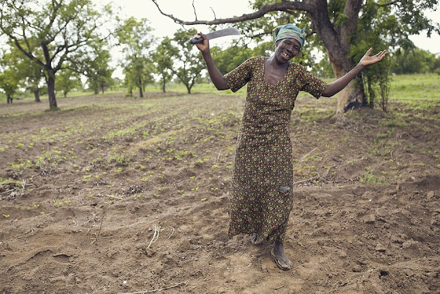 How To Plant Yam Tubers - The Expert Farmer's Guide