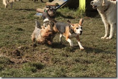 IMG_2055