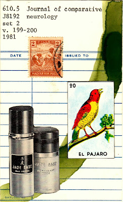 library card Mexican lottery card el pajaro bird jade east vintage cologne bottle postage stamp peasants in a field Dada Fluxus mail art collage