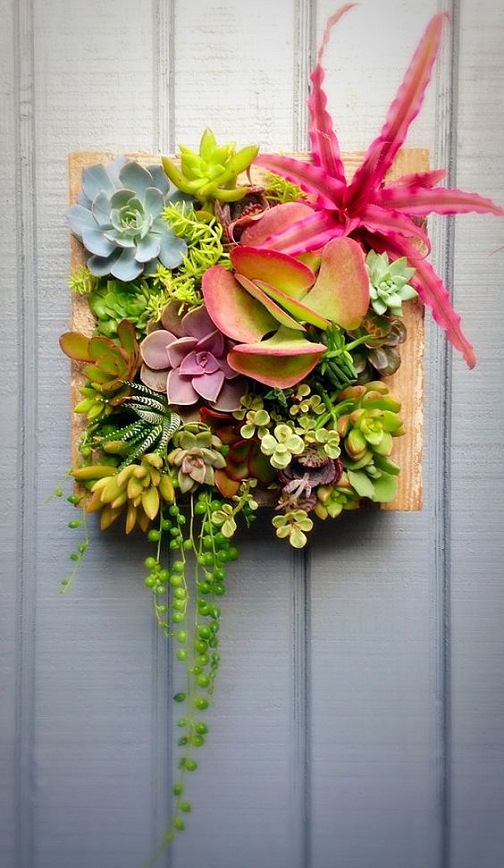 Dishfunctional Designs: Beautiful Succulents In Crafts and 