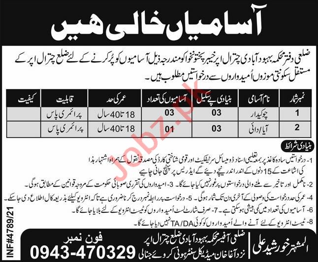 Jobs in Population Welfare Department PWD