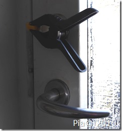 P1100028