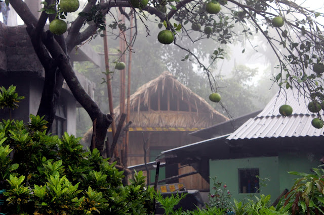 meghalaya