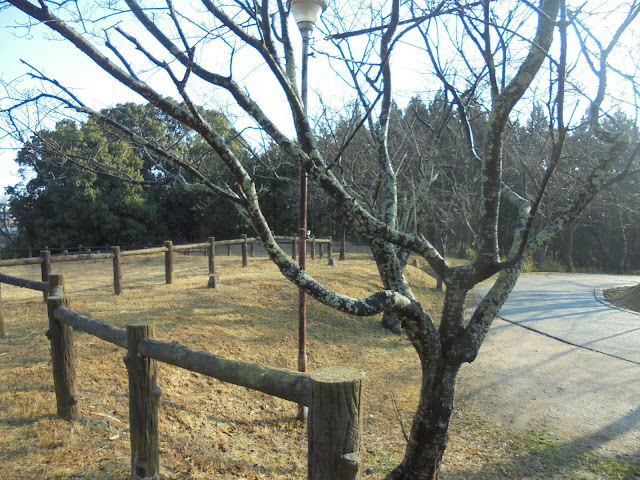 吉塚地区の遺跡