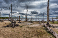  With the "business as usual" emissions scenario expected changes would threaten global biodiversity and derail vital services that nature provides to humanity, such as water security, carbon storage, and recreation. (Credit: © Stephen Bonk / Fotolia) Click to Enlarge.