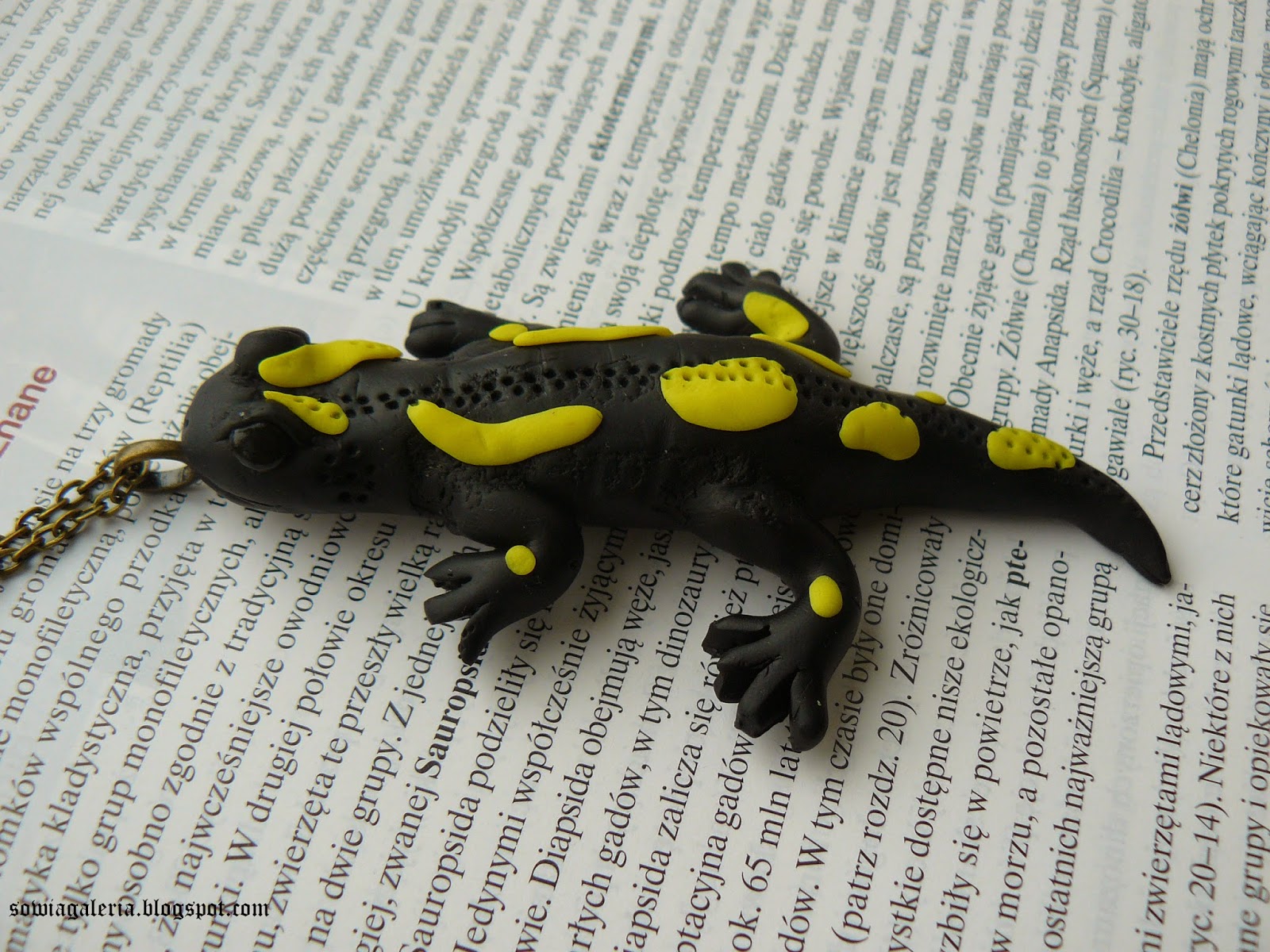 http://sowiagaleria.blogspot.com/2014/08/salamandra-salamandra.html