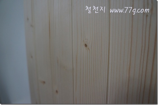 철천지DSC03785-20121112-154534