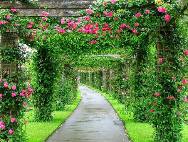 Most Beautiful Gardens in England