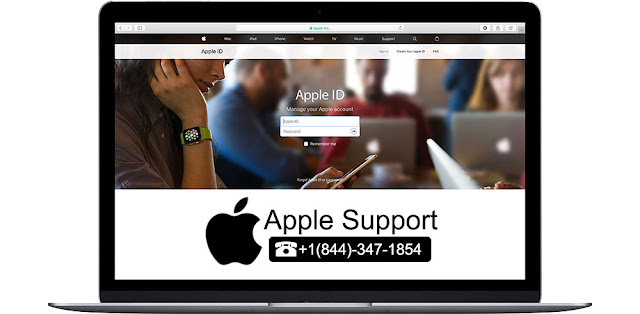 apple support phone number