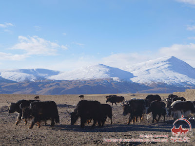 Adventure Jeep-tour in the Pamirs 2020