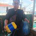 kegiatan pemeriksaan kapal perikanan , Kema