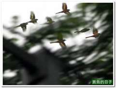 20120101_101613_001_4kanShui