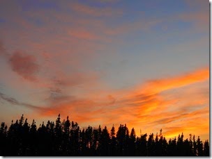 IMG_2082