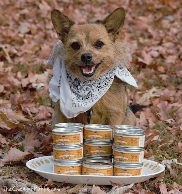 Mini Review: Merrick Thanksgiving Day Dinner Dog Food