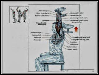 Seated Dumbbell Triceps Extension