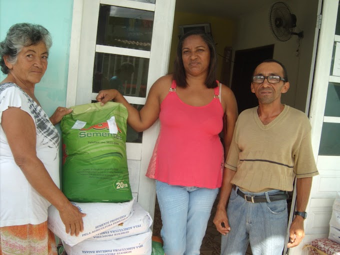 Segunda etapa do programa Semeando, distribui 16 mil kg de milho e feijão para os agricultores familiares de Araci.