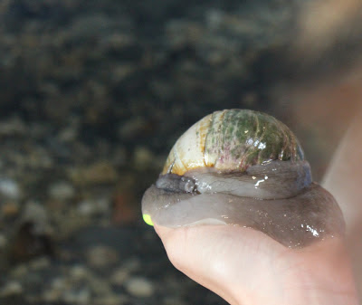 hands-on touch tank aquarium