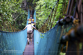 Taraw Canopy Walk El Nido