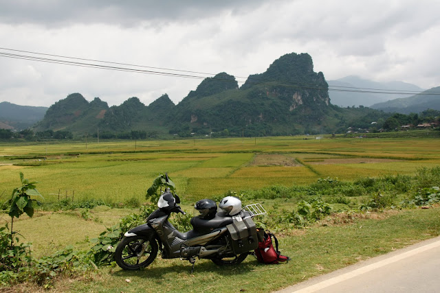 Nuestra moto y equipaje - Arrozales junto a la carretera. N. de Vietnam.