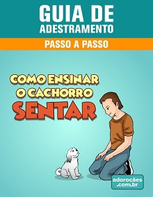 Guia de Adestramento de cães - Passo a Passo