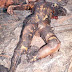 Naked Mombasa Lady Burned Alive - Video