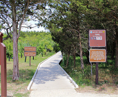 The Cape May Nature Trail in New Jersey