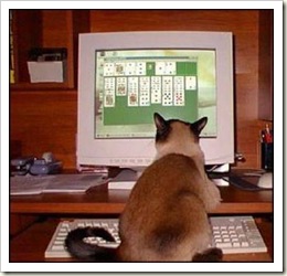 cat at computer