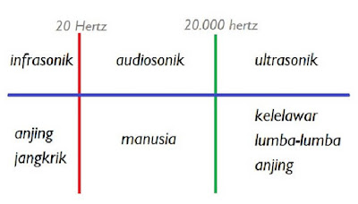 Pengertian Bunyi Audiosonik, Infrasonik dan Ultrasonik serta Manfaat Bunyi Ultrasonik dalam Kehidupan Sehari-hari