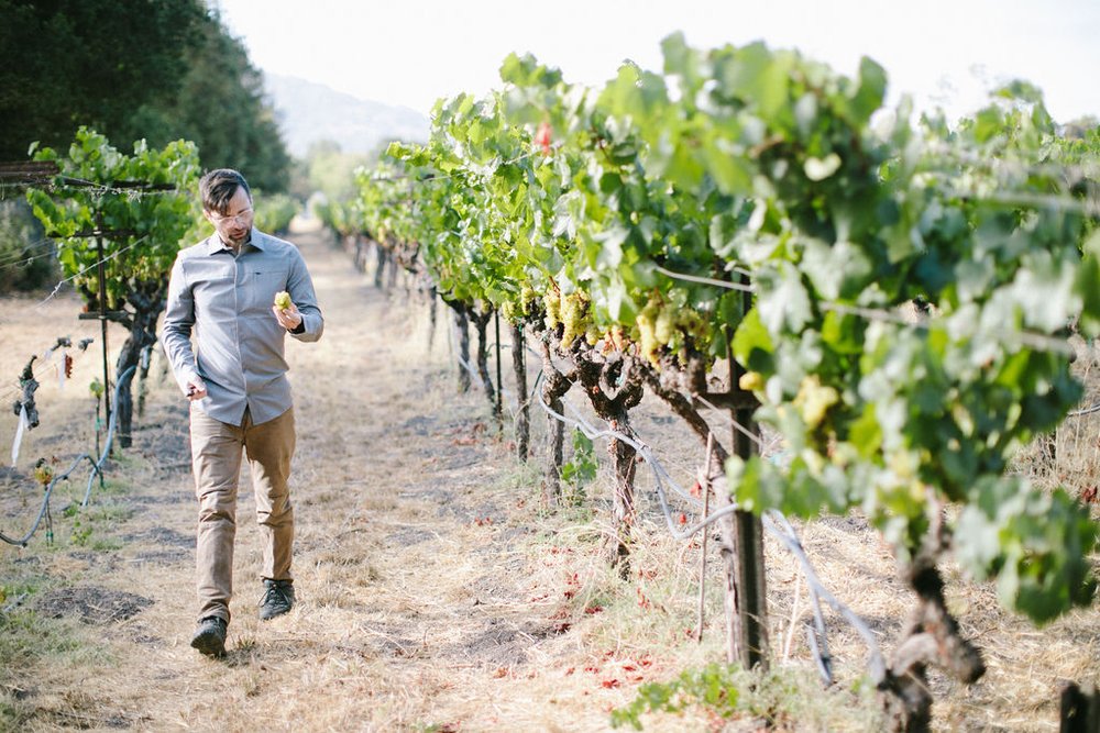 Granite Belt winemaker Mike Hayes is taking steps to adapt to
