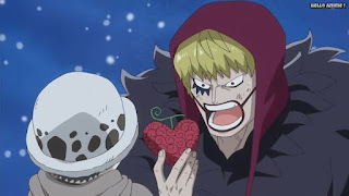 ワンピースアニメ ドレスローザ編 705話 コラソン オペオペの実 ロシナンテ Rosinante | ONE PIECE Episode 705